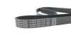 Ремень поликлиновый DAYCO 6PK1570 (фото 4)