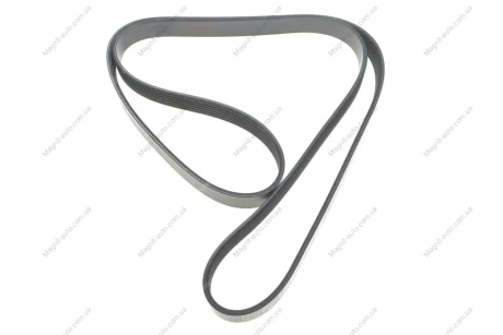 Ремень поликлиновый DAYCO 6PK1570