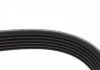 Поликлиновый ремень FORD ESCORT V, ESCORT VI, ORION III, TRANSIT, TRANSIT TOURNEO OPEL ASTRA J, ASTRA J GTC, ASTRA K, INSIGNIA A, INSIGNIA A COUNTRY, INSIGNIA B 1.4-2.5D 07.90- DAYCO 6PK1635 (фото 2)