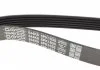 Поликлиновый ремень FORD ESCORT V, ESCORT VI, ORION III, TRANSIT, TRANSIT TOURNEO OPEL ASTRA J, ASTRA J GTC, ASTRA K, INSIGNIA A, INSIGNIA A COUNTRY, INSIGNIA B 1.4-2.5D 07.90- DAYCO 6PK1635 (фото 3)