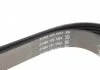 Поликлиновый ремень FORD ESCORT V, ESCORT VI, ORION III, TRANSIT, TRANSIT TOURNEO OPEL ASTRA J, ASTRA J GTC, ASTRA K, INSIGNIA A, INSIGNIA A COUNTRY, INSIGNIA B 1.4-2.5D 07.90- DAYCO 6PK1635 (фото 4)