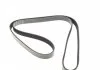 Поликлиновый ремень FORD ESCORT V, ESCORT VI, ORION III, TRANSIT, TRANSIT TOURNEO OPEL ASTRA J, ASTRA J GTC, ASTRA K, INSIGNIA A, INSIGNIA A COUNTRY, INSIGNIA B 1.4-2.5D 07.90- DAYCO 6PK1635 (фото 5)