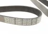 Ремень поликлиновый DAYCO 6PK1670 (фото 2)