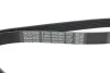 Ремень поликлиновый DAYCO 6PK2063 (фото 4)