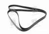 Ремень П-клиновый Dayco DAYCO 6PK2130 (фото 3)