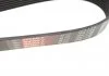 Ремень поликлиновый, NISSAN Qashqai/X-Trail, RENAULT Laguna/Megane/Scenic 2.0 dCi 05- Gates 7PK1705 (фото 3)