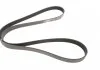 Ремень поликлиновый, NISSAN Qashqai/X-Trail, RENAULT Laguna/Megane/Scenic 2.0 dCi 05- Gates 7PK1705 (фото 4)