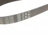 Ремень привода навесного оборудования Gates 7PK2060 (фото 5)