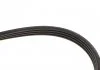 Ремінь поліклиновий, FORD Escort/Fiesta, HONDA Accord/Civic, SUZUKI Swift 1.3-1.6 83-00 Gates 4PK823 (фото 4)