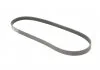 Ремінь поліклиновий, Lancer 03-08/Twingo 93-07,BMW7,E38 94-01/Fiat Tempra 90-96 Gates 5PK903 (фото 2)