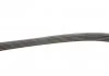 Ремінь поліклиновий, Lancer 03-08/Twingo 93-07,BMW7,E38 94-01/Fiat Tempra 90-96 Gates 5PK903 (фото 3)