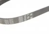 Ремінь поліклиновий, Lancer 03-08/Twingo 93-07,BMW7,E38 94-01/Fiat Tempra 90-96 Gates 5PK903 (фото 5)