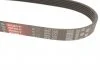 Ремень генератора Ducato/Peugeot Boxer 2.0 94- Gates 6PK700 (фото 3)