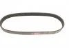 Ремень генератора Ducato/Peugeot Boxer 2.0 94- Gates 6PK700 (фото 4)