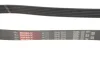 Ремінь генератора Berlingo/Partner 1.6 HDi 05-/Ford Connect/Courier 1.5/1.6 TDCi 13- Gates 6PK975 (фото 2)