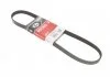 Ремень генератора Opel Astra/Vectra 1.4/1.6 88-05 Gates 5PK978 (фото 1)
