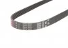 Ремень генератора Opel Astra/Vectra 1.4/1.6 88-05 Gates 5PK978 (фото 3)