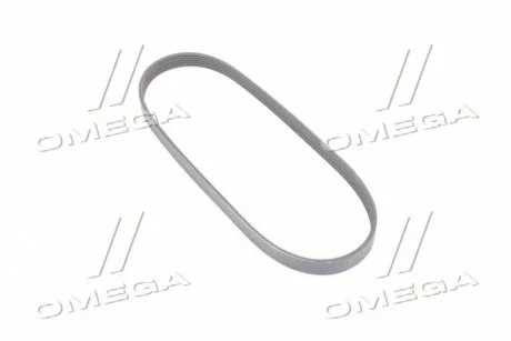 Ремень поликлиновый, 2.8 dTI -01 Gates 6PK843