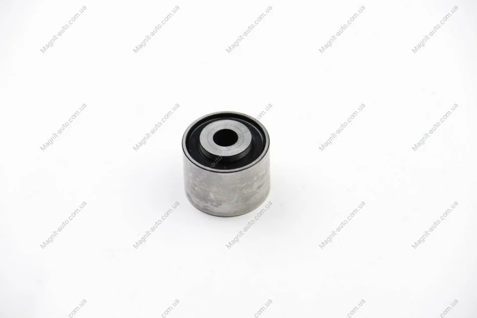 Ролик обвідний ременя поліклінового.) INA 532029610 (фото 1)