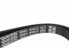 Ремінь поліклиновий, Chrysler / Fiat / Ford / Honda / Hyundai / Mazda / Mitsubishi DAYCO 4PK975 (фото 2)