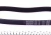 Поліклиновий ремінь CITROEN BERLINGO, C-ELYSEE, C2, C2 ENTERPRISE, C3 I, C3 II, C3 PLURIEL, C4, C4 I, JUMPER I, JUMPY I, XSARA, ZX FIAT DUCATO, SCUDO PEUGEOT 1007, 206 1.0-1.9D 03.88- DAYCO 6PK730 (фото 2)