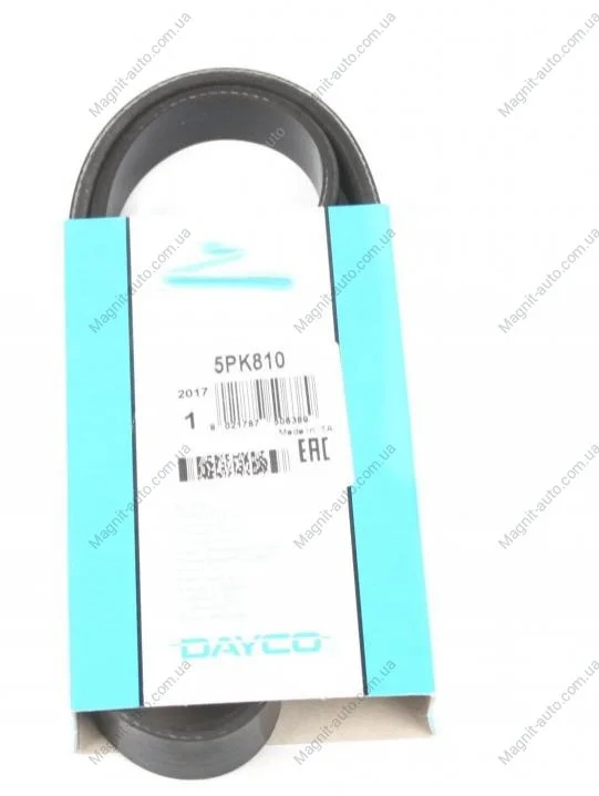 Поліклиновий ремінь DAYCO 5PK810 (фото 1)