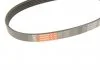 Ремень поликлиновый, SEAT Ibiza, VW Golf/Jetta/Passat/Tiguan/Touran 1.4 TSI 06- Gates 5PK493 (фото 3)