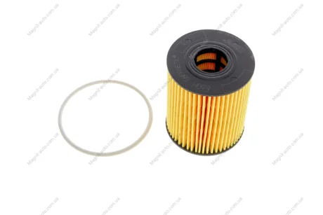 Фільтр оливний HENGST FILTER E60H D110