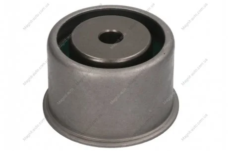 Натяжной ролик NTN SNR SNR NTN GE373.13