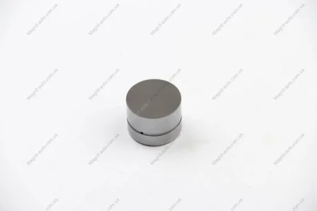 Гідрокомпенсатор, 1.9TD INA 420004310