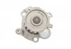 Помпа води, 1,9TDI SKF VKPC 81623 (фото 7)
