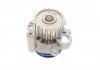 Помпа води, 1,9TDI SKF VKPC 81623 (фото 9)