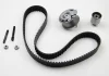 Комплект ГРМ 1.9TDI Caddy 04-/T5 03-/Golf IV/V/Passat 01-/Jetta 05- INA 530020110 (фото 1)