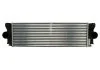 Интеркуллер VW CRAFTER 30 (2006) 2.5 TDI NISSENS 96628 (фото 1)