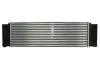 Интеркуллер VW CRAFTER 30 (2006) 2.5 TDI NISSENS 96628 (фото 2)