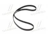Ремінь ГРМ Forester/Impreza/Legasy/Outback 1.6/2.0/2.5 98- Gates 5537XS (фото 4)