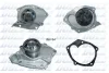 Помпа Dolz MITSUBISHI/NISSAN/VAUXHALL/VOLVO Carisma/Primastar/Vivaro/S40 "1,2-3,0 "99>> DOLZ R233