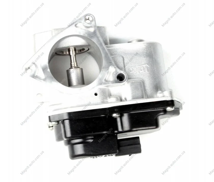 Клапан EGR рециркуляції газів VOLKSWAGEN Golf (вир-во) Valeo 700424 (фото 1)
