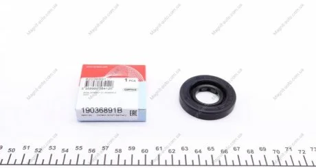 Сальник КПП FORD Fiesta VI (08-) 21,5x48,0x8,4 Corteco CORTECO 19036891B