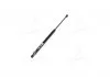 Амортизатор багажника CITROEN С5, TOYOTA COROLLA (пр-во Magneti Marelli кор.код. GS0958) MAGNETI MARELLI 430719095800 (фото 2)