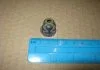 Сальник клапана IN/EX FORD/PSA 2,0-2,2 TDCI 16V 6,0X10,00/20,00X18,70 (пр-во Corteco) CORTECO 12036506 (фото 1)