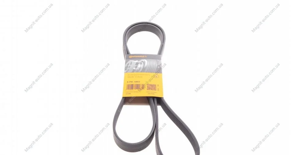 Пас поликлиновый Ford Focus 1.4/1.6 98-05/R Contitech 6PK1893 (фото 1)