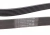 Пас поликлиновый Ford Focus 1.4/1.6 98-05/R Contitech 6PK1893 (фото 2)