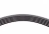 Пас поликлиновый Ford Focus 1.4/1.6 98-05/R Contitech 6PK1893 (фото 4)