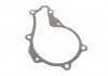 Ремкомплект ГРМ + помпа CITROEN/FIAT/FORD/MAZDA/MINI/PEUGEOT/SUZUKI/VOLVO "1,6D "03>> SKF VKMC 03259 (фото 12)