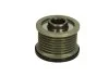 Шкив генератора NISSAN; OPEL; RENAULT (пр-во Magneti Marelli кор.код. AMA0081) MAGNETI MARELLI 940113010081 (фото 1)