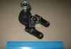Опора шаровая NISSAN Terrano II,Mistral #R20 02.93-12.06,lower.F (пр-во) CTR CBN-67 (фото 1)