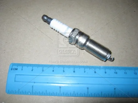 Свічка запалювання Opel Vectra C, Zafira A 2.2i 16V, Antara 3.2i (06-) (OE029T10) CHAMPION OE029/T10