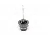 Лампа ксеноновая D2S 85V 35W P32d-2 WhiteVision gen2 5000K (пр-во Philips) PHILIPS 85122WHV2C1 (фото 2)