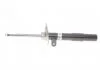 Амортизатор Bilstein BMW 7 (E65/E66/E67) "FR "01-08 BILSTEIN 22-184306 (фото 1)